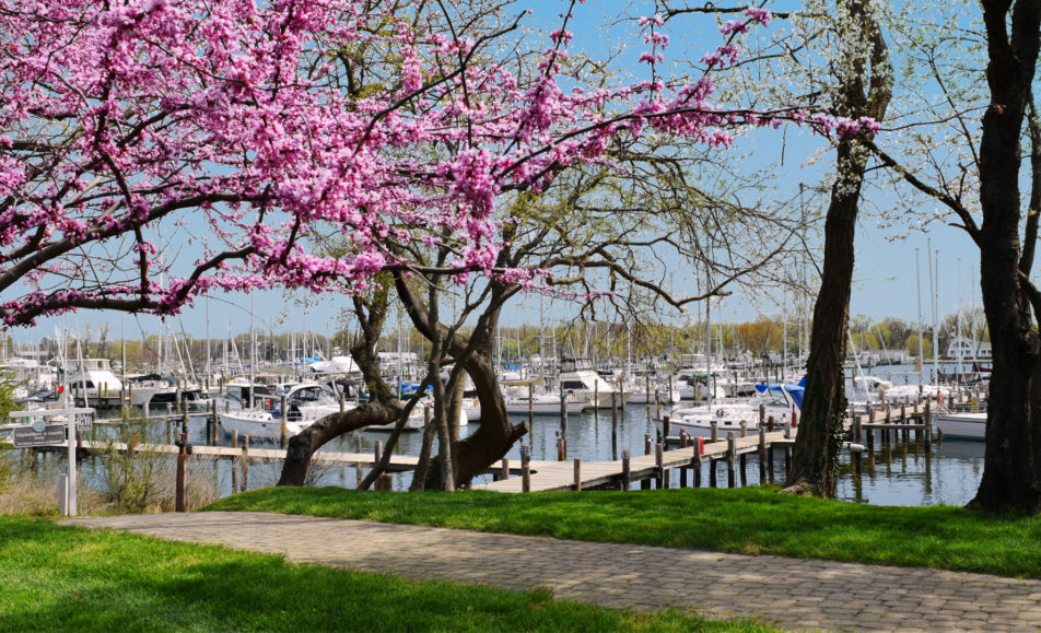 Herrington Harbour North